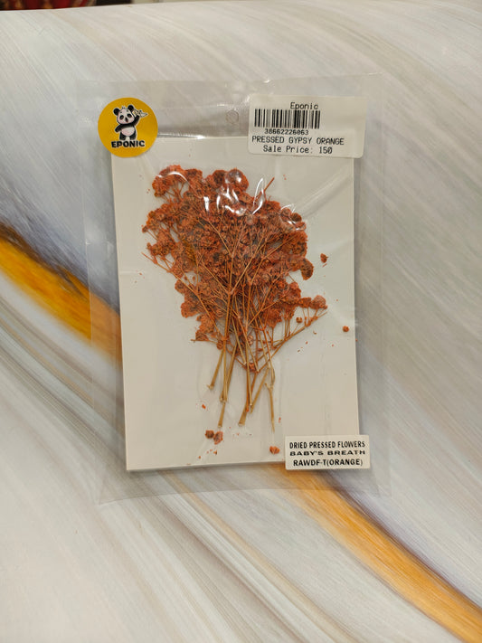 PRESSED GYPSY ORANGE