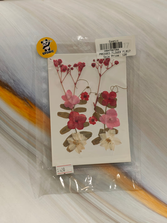 PRESSED FLOWER FL017
