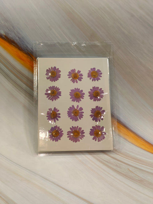 PURPLE DAISY PACK