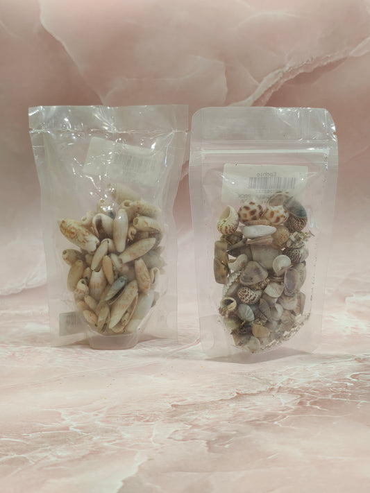 MIXED SHELL PACK