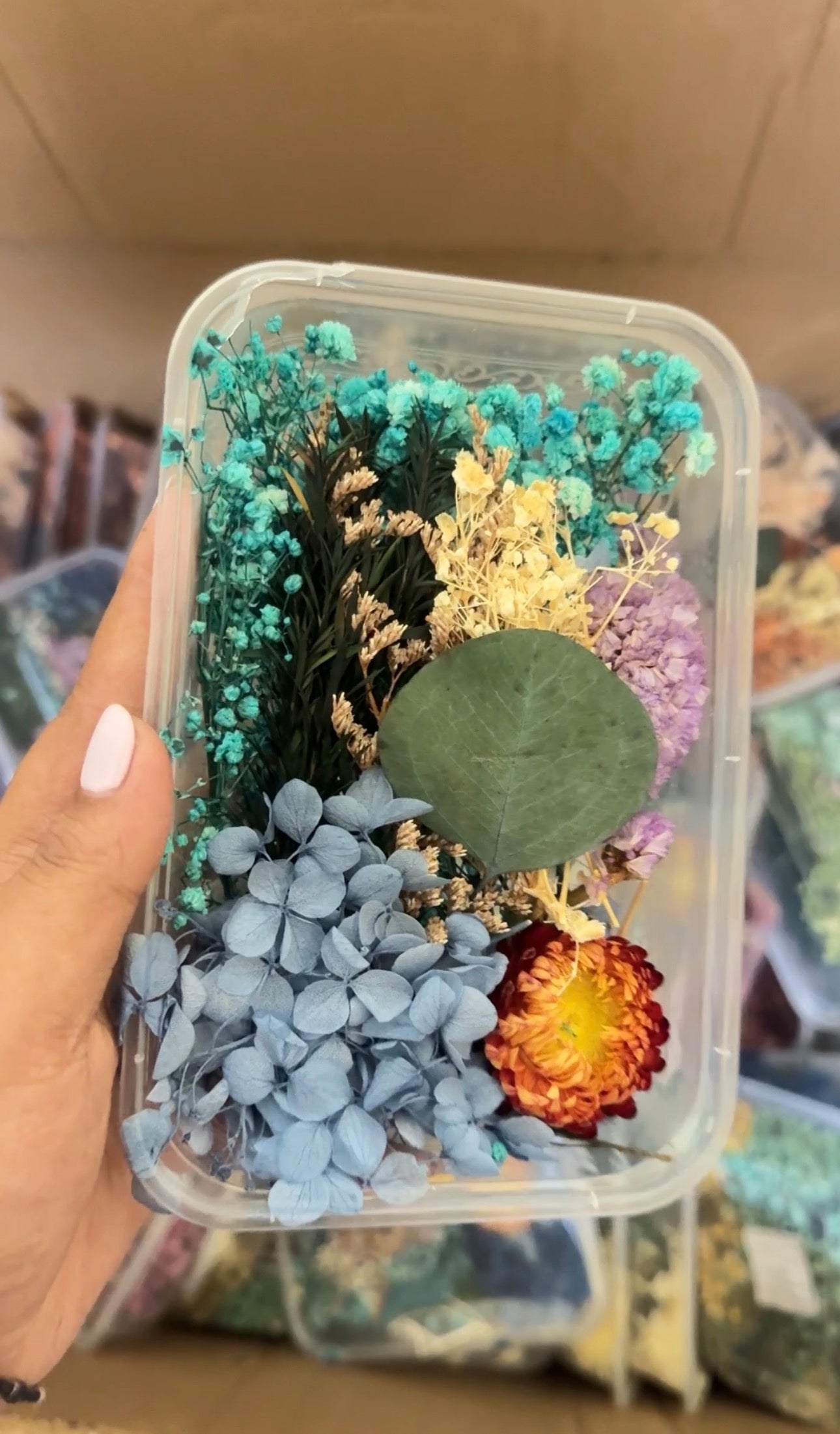 Dry Flower Box Mix (Random)
