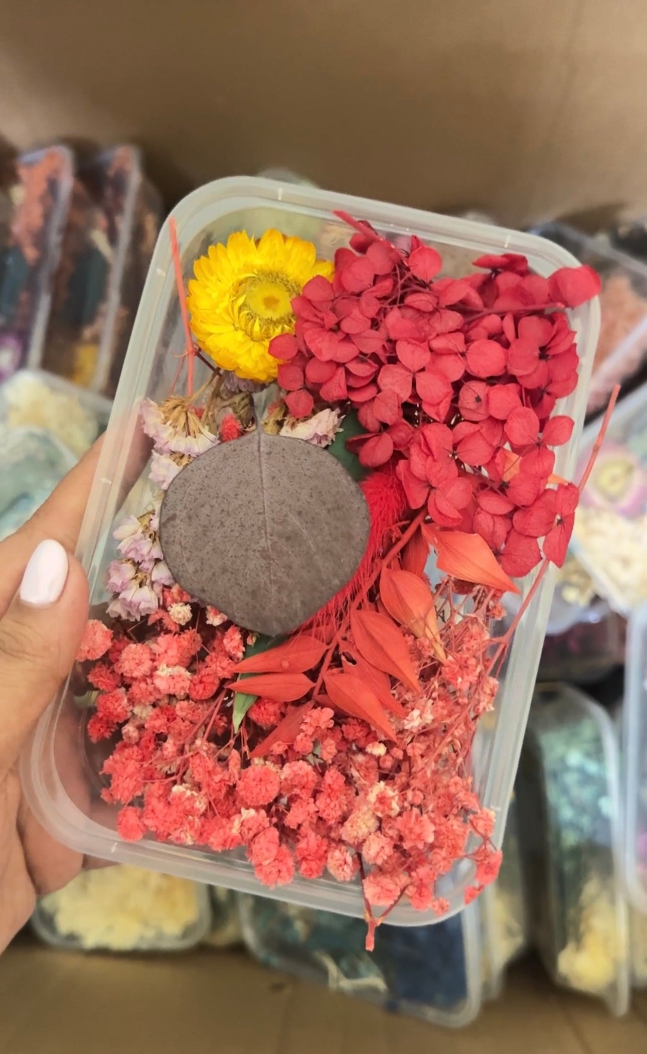 Dry Flower Box Mix (Random)