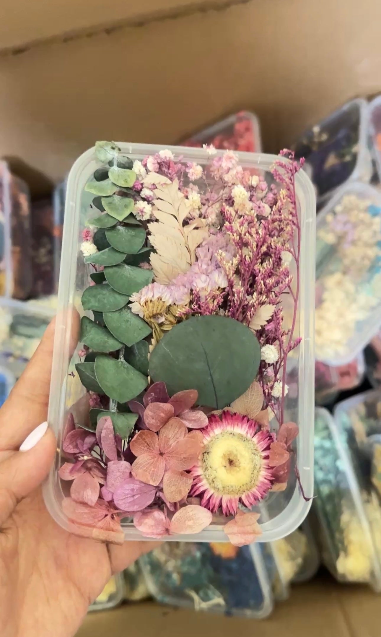 Dry Flower Box Mix (Random)