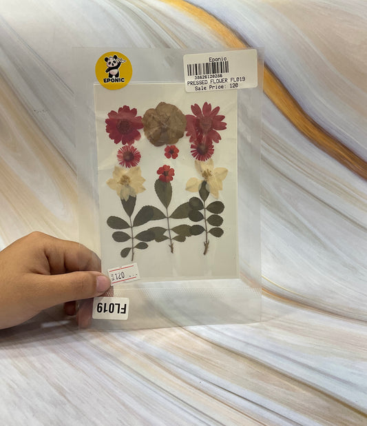 PRESSED FLOWER FL019